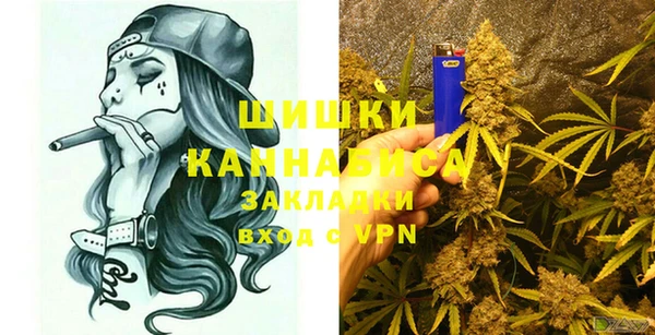 прущие грибы Балахна