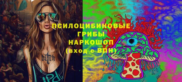 прущие грибы Балахна