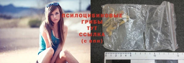 гидропоника Балабаново