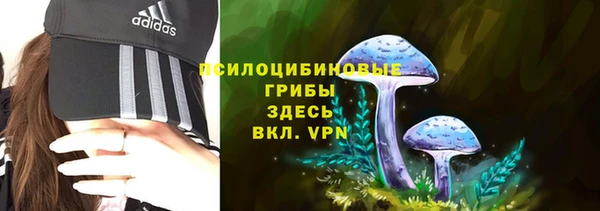 гидропоника Балабаново