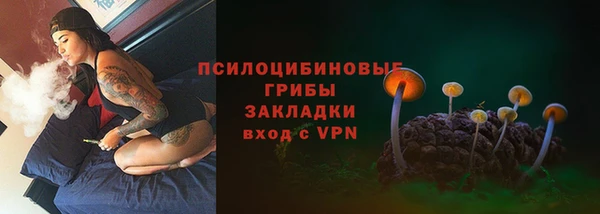 гидропоника Балабаново