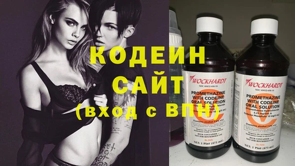 прущие грибы Балахна